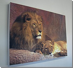 Canvas Printing 